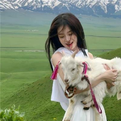 大师的头脑