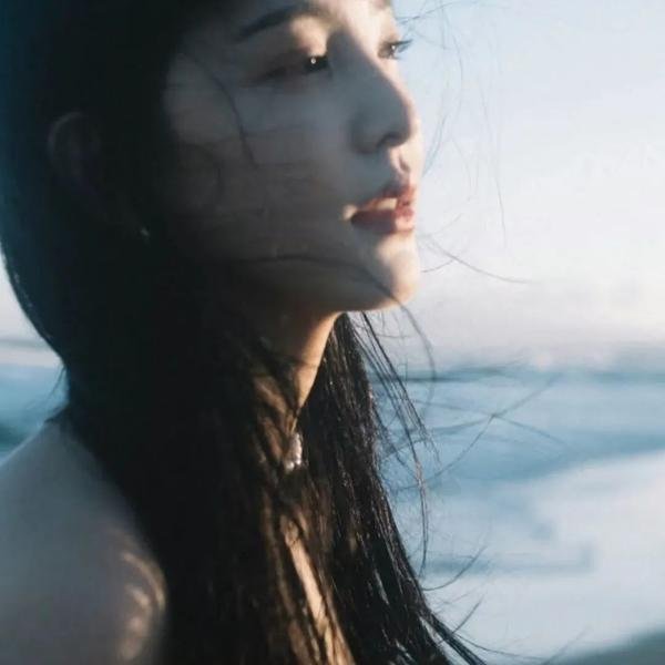 峠最后的武士